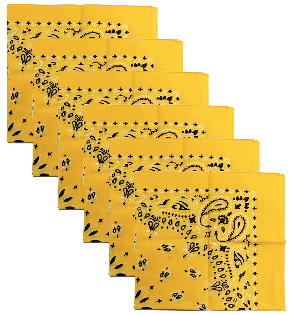 Thumbnail: USA Made Military Army Trainmen Paisley 22 / Hav A Hank Paisley Bandana