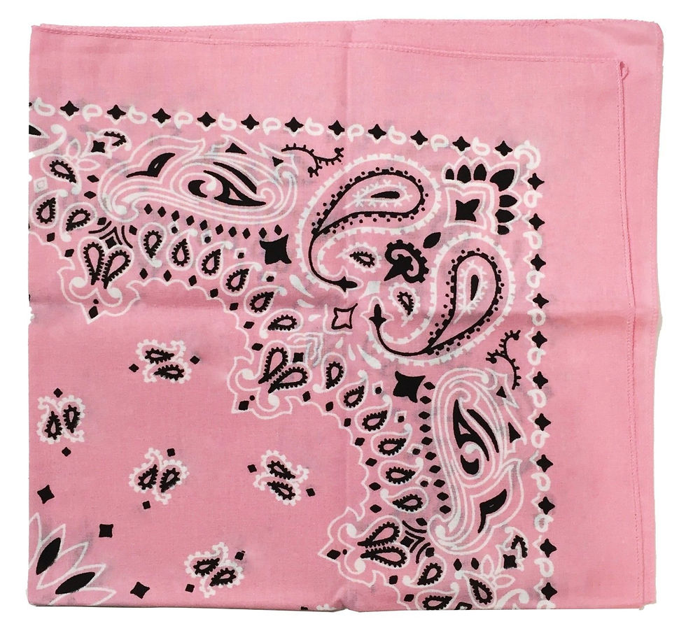 Thumbnail: USA Made Military Army Trainmen Paisley 22 / Hav A Hank Paisley Bandana