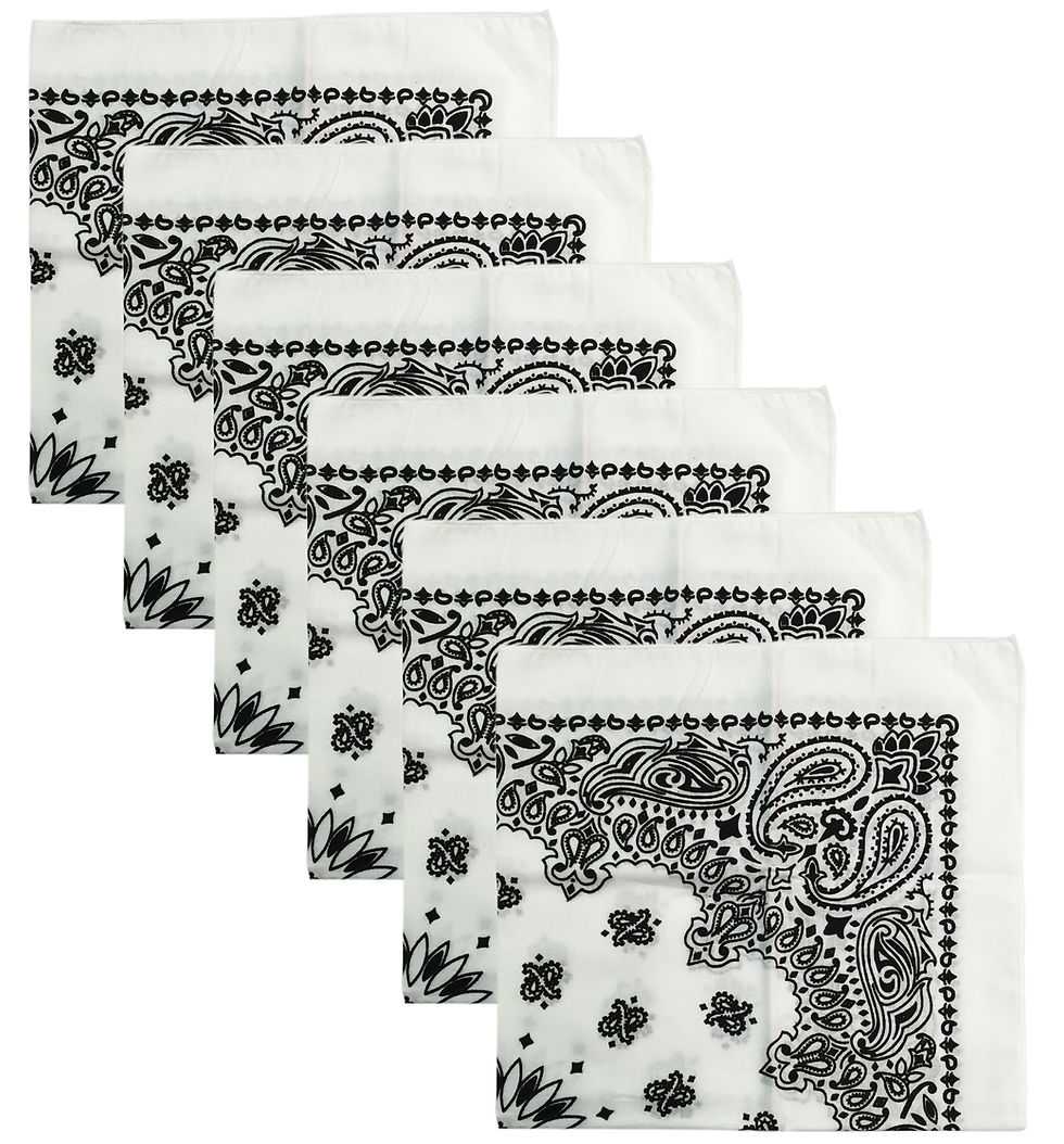 Thumbnail: USA Made Military Army Trainmen Paisley 22 / Hav A Hank Paisley Bandana