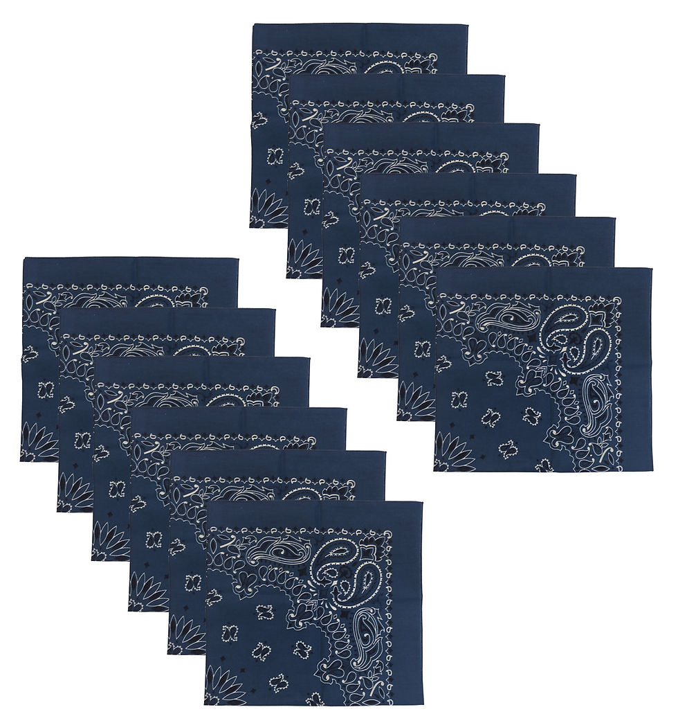 Miniatura: USA Made Military Army Trainmen Paisley 22 / Hav A Hank Paisley Bandana