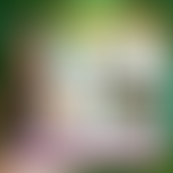 Tahniah! Menang RM2,100 Dengan Game Jungle Spirit