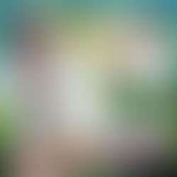 ⭐️TAHNIAH MEMBER EGA88 CUCI DALAM GAME PUSSY888 RM2830⭐️