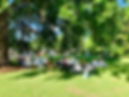 IMG_6525.jpeg