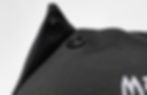 Thumbnail: MichiSaurio  Cap