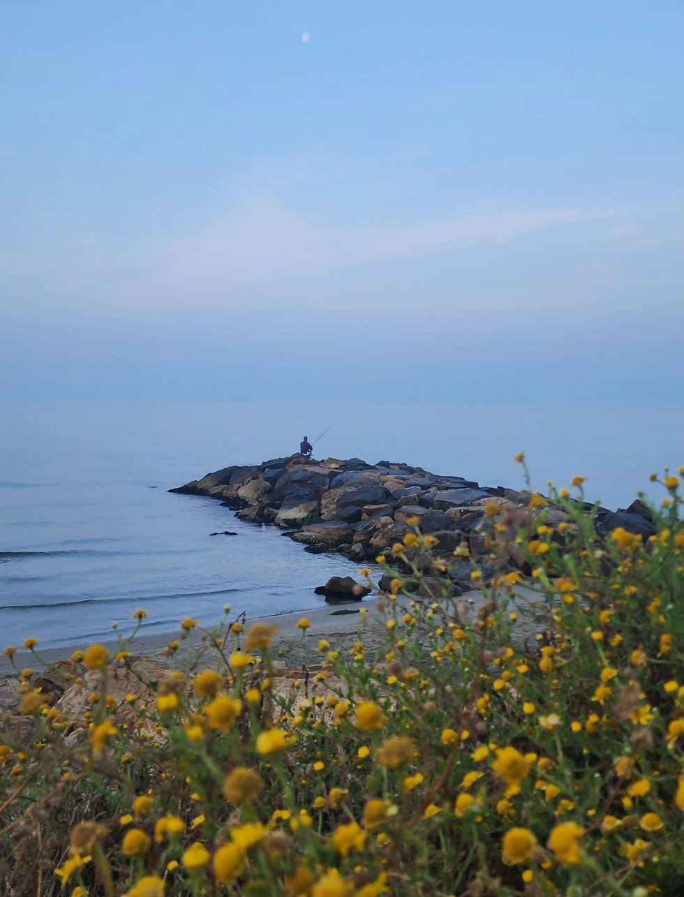 The early bird catches the worm, and the early riser catches some peace and quiet... and fish. The difference between pre-dawn, dawn, and daylight hours is even more apparent at the beach, as all of nature is transformed minute by minute with the approach of the sun, as are the corresponding human and sea creatures' activities. I was fortunate enough to naturally wake up at dawn today and catch some of this magic before the beach combers arrived. Only the fishermen and the hermit crabs were awake and busy with their solitary work.