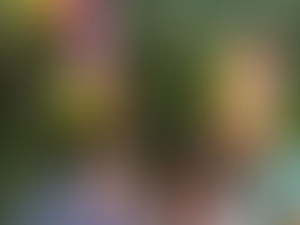 Calendar Class of May 1, 2025