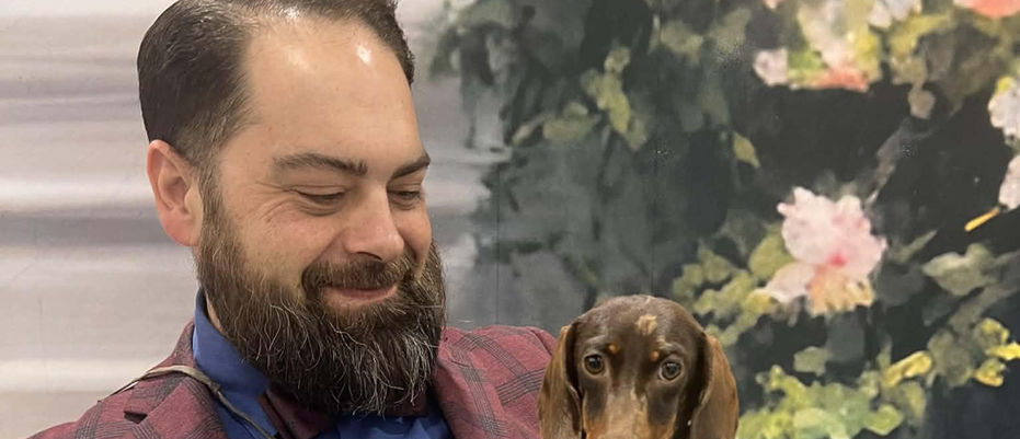 dachshund