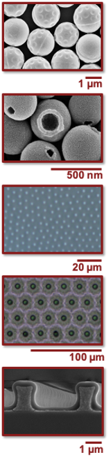 20200810_vertical research images.png