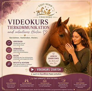 Videokurs Tierkommunikation Shop.png