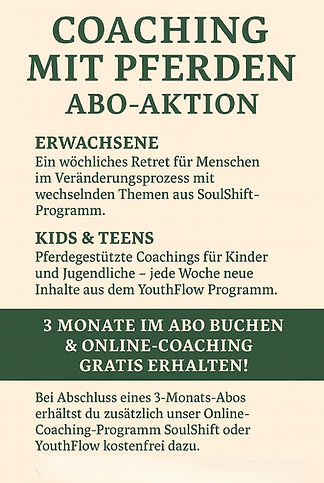 Coaching Flyer 2.jpg