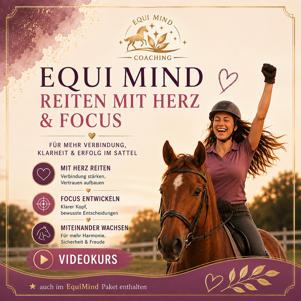 Miniaturbild: EquiMind Training - Reiten mit Herz & Focus
