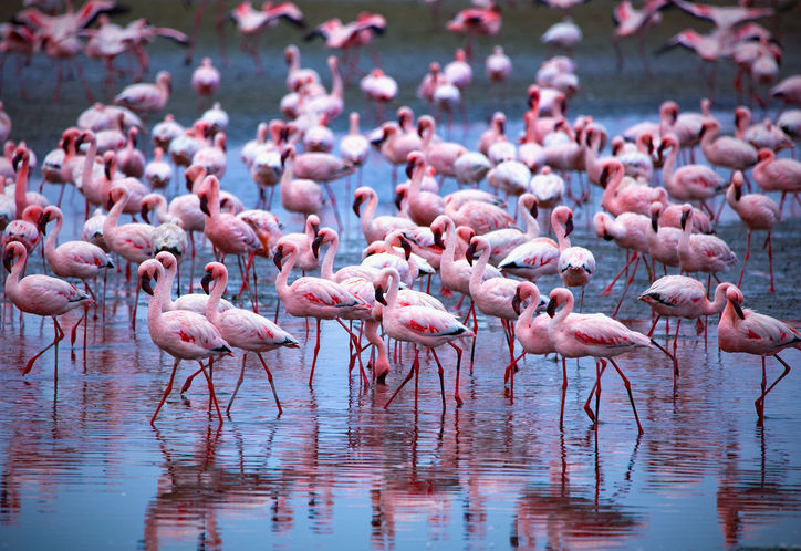 Ch 15 201202 Namibia 0R7A 9811 for wix 2021_edited.jpg