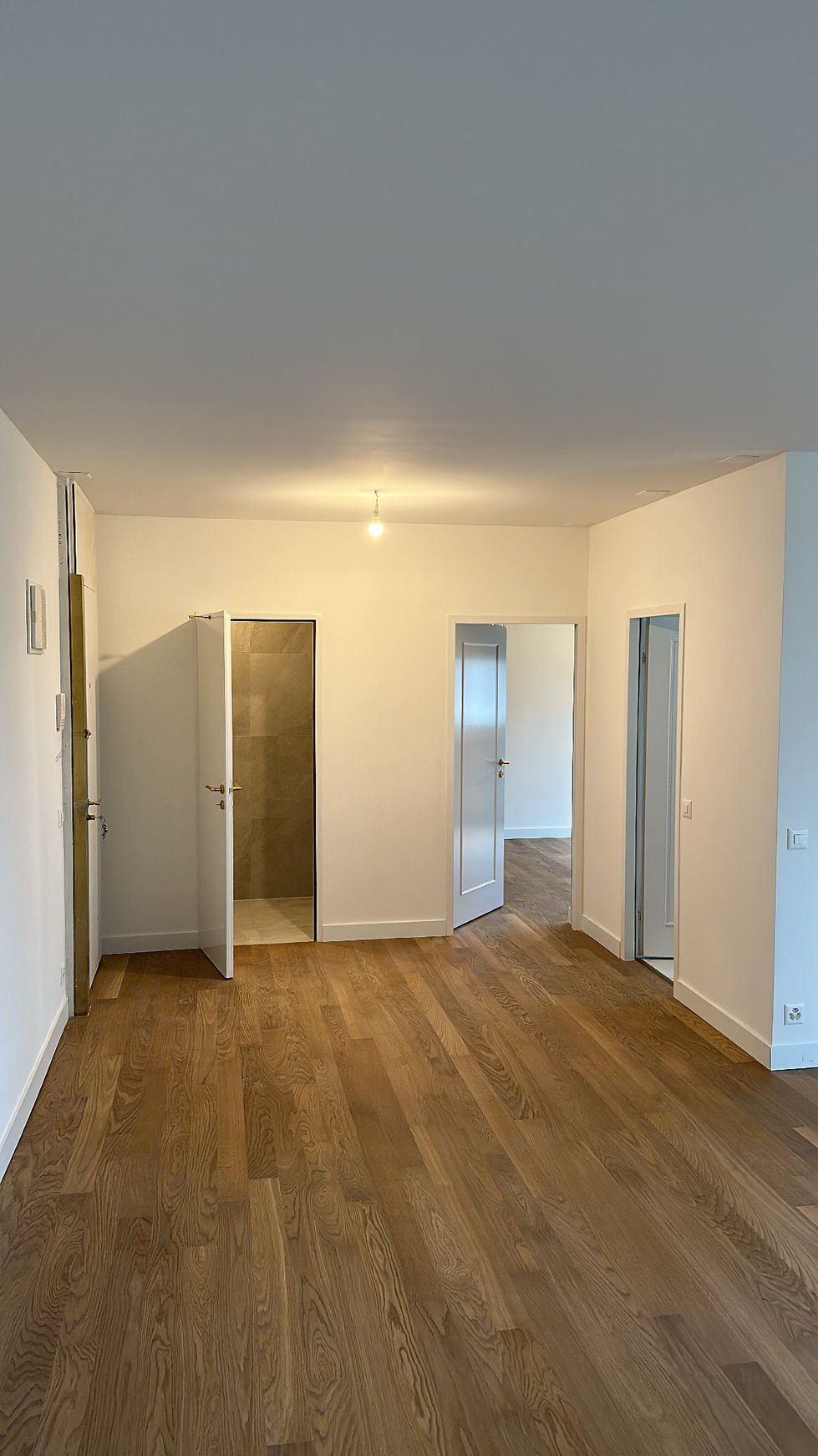 Rénovation appartement complet Frontenex, Genève 