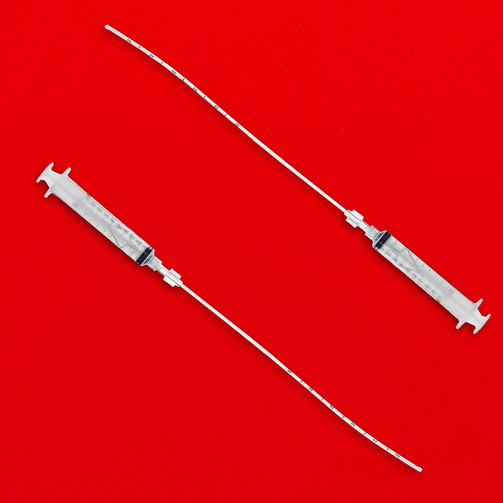 Miniatura: Endosampler