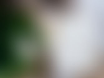 Nýggj kort við gyltum stavum