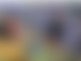 Skriv til Kringvarpið um søguna „Ræðuliga søgan um lítlu Hon“.