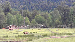 Camping%20Glamping%20Pucon%20Llankalil%2