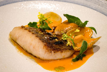 Photo 20-04-22 15.09.25.jpg