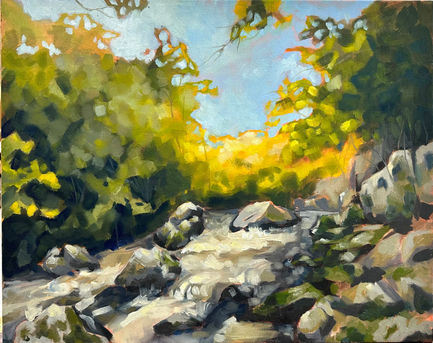 Plein Air #1
14"x20"