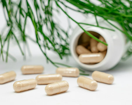 淇如生技保健食品劑型介紹