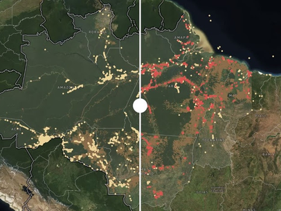 71% dos sítios arqueológicos em florestas na Amazônia Legal estão sob áreas desmatadas