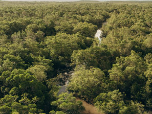Com 70% do Delta do Parnaíba no Maranhão, roteiro em Tutóia une história e lado mais exclusivo do arquipélago