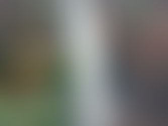 11 de setembro - Dia do Cerrado