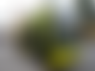 Curitiba é eleita a cidade mais inteligente do mundo e se torna referência para o setor turístico