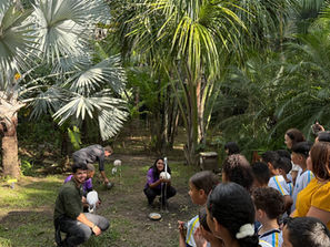 Estudantes vivem aula ao ar livre e descobrem a natureza na Reserva do Congo, em São Luís (MA)