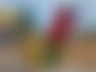 Mobiliza SLZ 2025 oferece atividades direcionadas ao trade turístico da capital