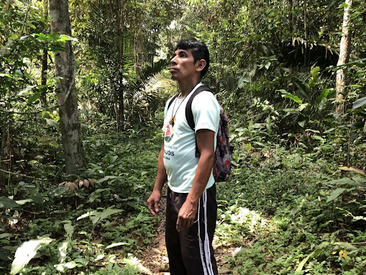 No Dia da Amazônia, organizações alertam sobre preservação do bioma