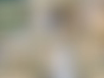 História do domingo: Teu rebanho está pronto