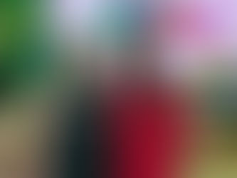 Presidente da ABAV-MA representa o Maranhão em Encontro Nacional da ABAV em Macapá