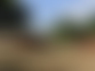 Grupo de trabalho busca solução para terras quilombolas de Alcântara