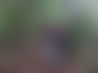 Bora Passarinhar transforma natureza em experiência turística e fortalece turismo comunitário em Timon (MA)