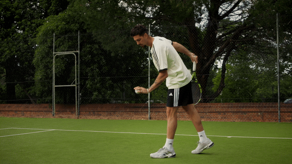 gif thnasi website V2.gif