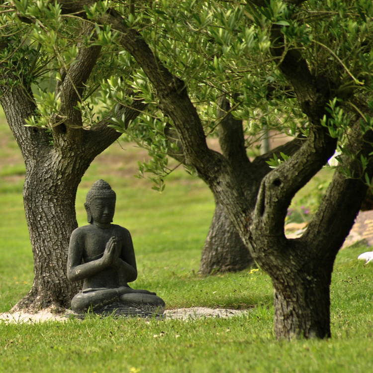 zen-1487303828-1564350