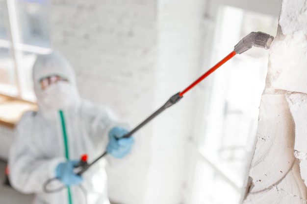Mold remediation technician