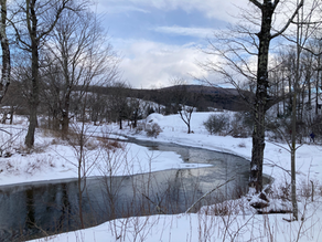 The Importance of Snow