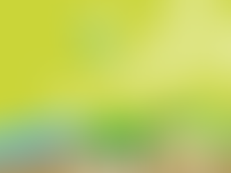 Water & Forests; The role trees play in water quality