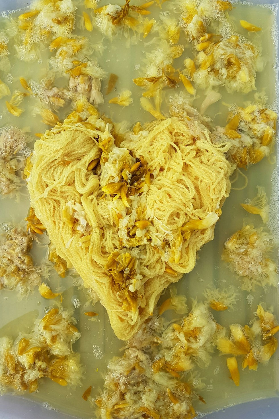 Her annonseres eventuelle arrangementer 2022