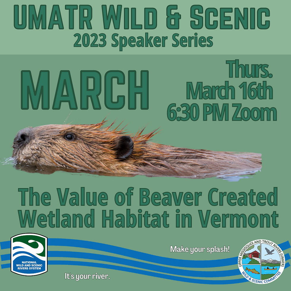 The Value of Beaver Created Wetland Habitat in Vermont