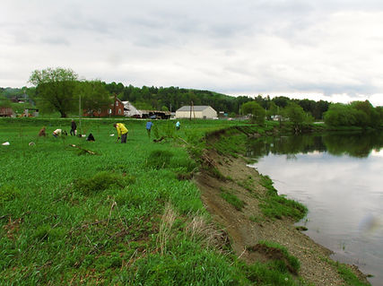 20100508_9_2 (1).jpg