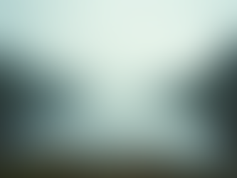 Captivating Photography Portfolio Ideas for Every Style