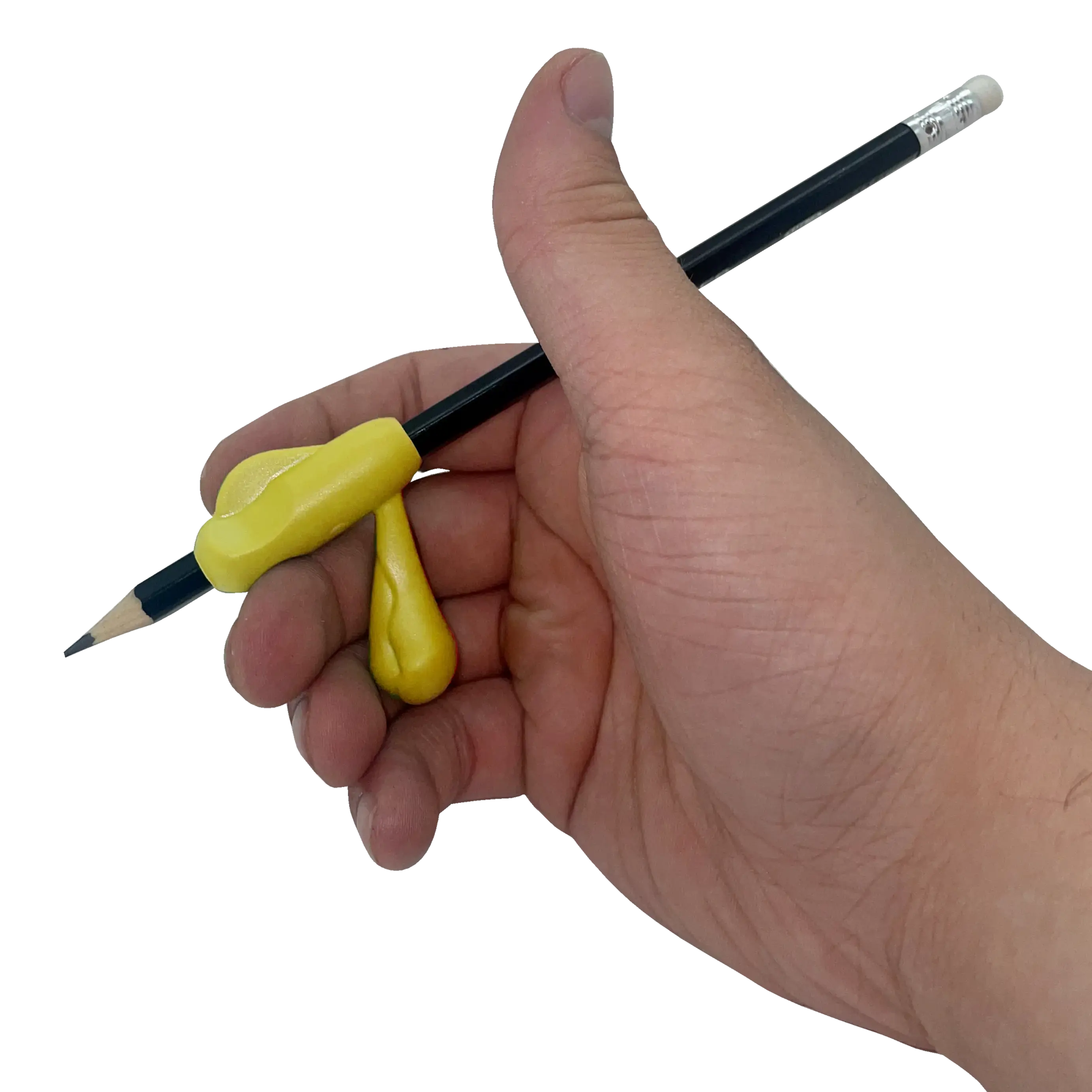 Pen Holder With Holder