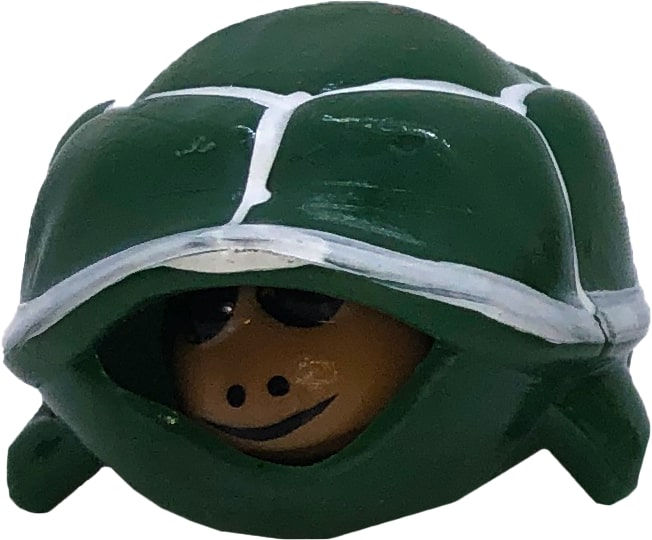 Thumbnail: Squeeziii Turtle