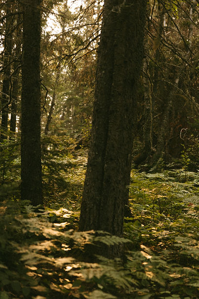 ©MagalieMassey-Emyoga x TerritoireCharlevoix-août2024-45.jpg