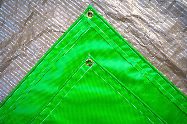 (Background) Green Sheet .jpg