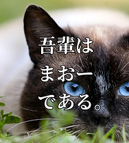 up_8e64f21629da499f2f50b40adc8083e8~2.png