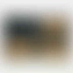 部落格交屋包1111